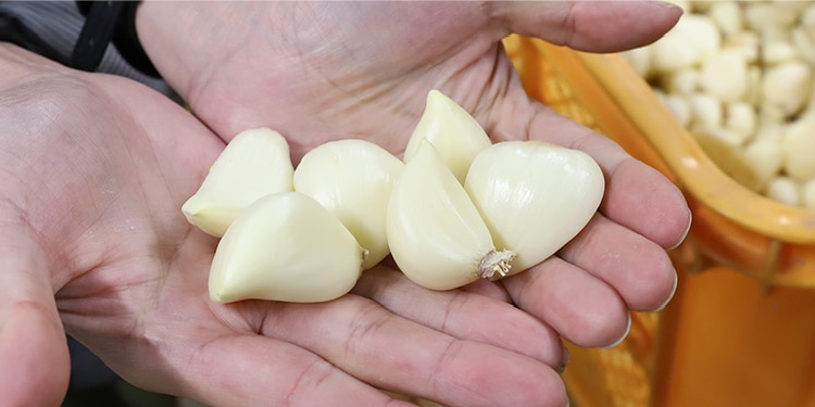 自然の恵みに感謝「農家のひと手間が光る」にんにく