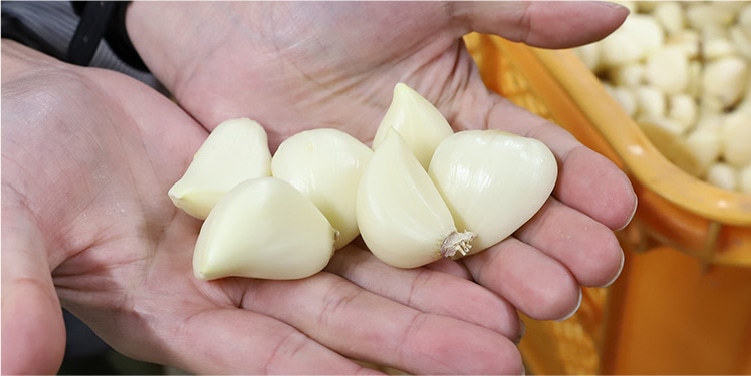 自然の恵みに感謝「農家のひと手間が光る」にんにく