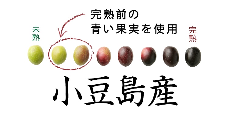 オリーブの島、小豆島。品質を保つため、果実の収穫・選別は手作業で行っています