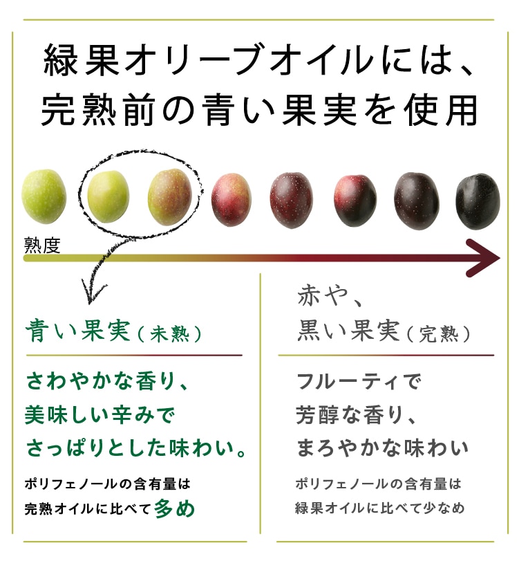 エキストラヴァージン緑果オリーブオイル(スペイン農場産) | 井上誠耕園
