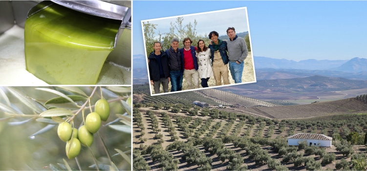 スペインのオリーブ農家「ルケ家」と共に作る18年目の緑果オリーブオイル