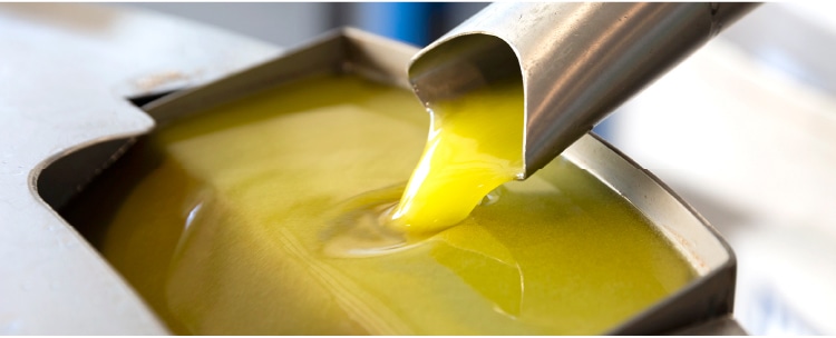 新鮮檸檬オリーブオイル | 井上誠耕園