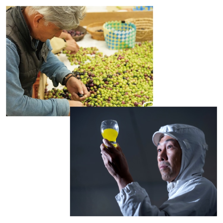 小豆島産エキストラヴァージン熟オリーブオイル「蔵」 | 井上誠耕園