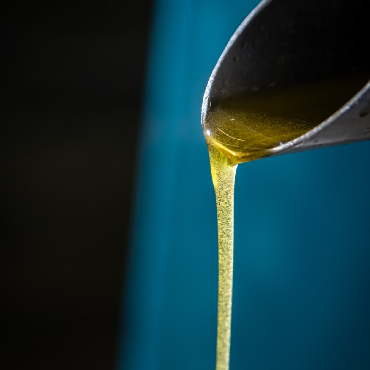 小豆島産 手摘み 限定 搾りたて出荷 ピクアル種 135g ｜ 井上誠耕園