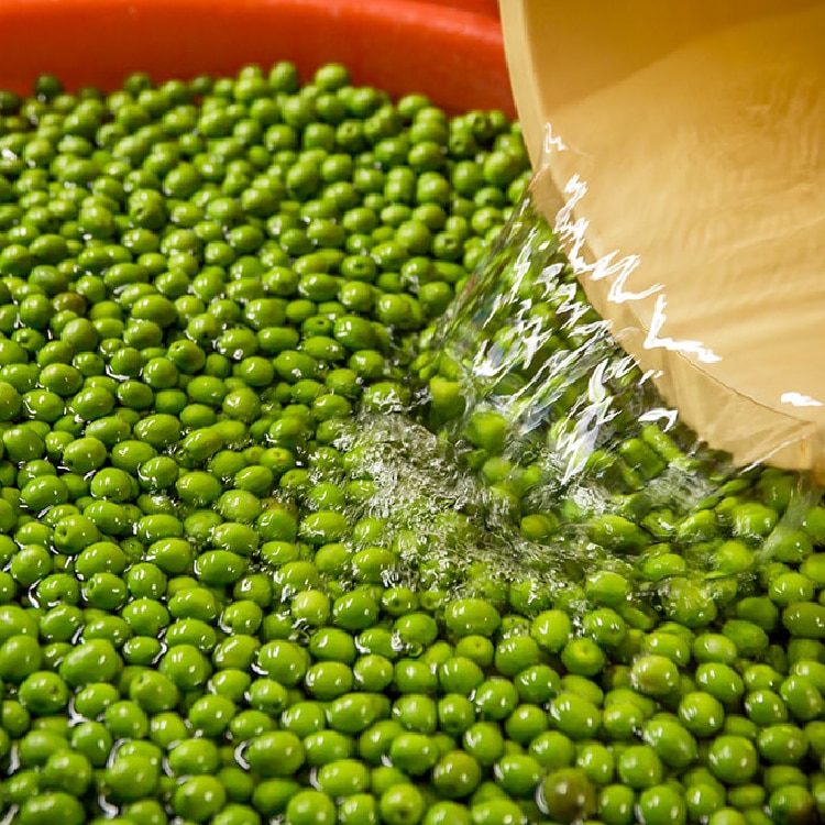 新漬けオリーブ「アザパ」種 250g(約60粒) | 井上誠耕園