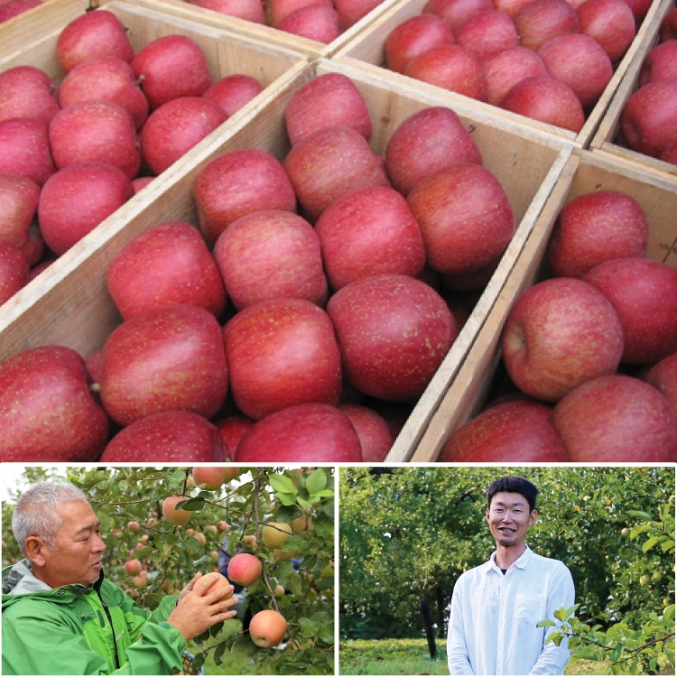 マリアージュジャム りんごとシナモン(ふじ) | 井上誠耕園