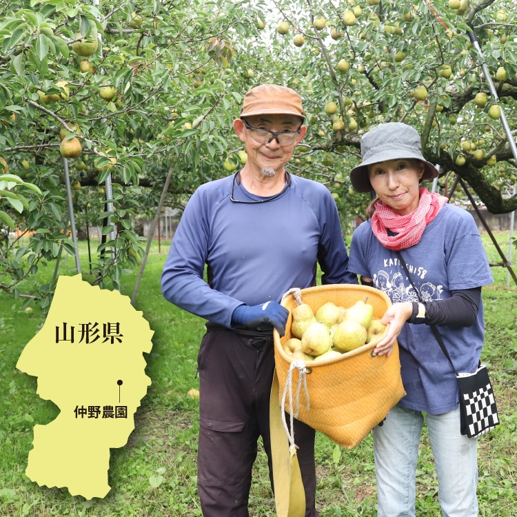 職人生搾りジュース山形県特選・洋梨「ラ・フランス」720ml | 井上誠耕園