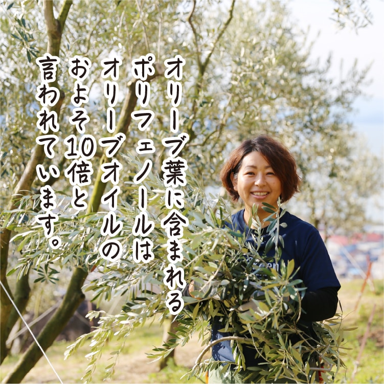 アーモンドきなこ | 井上誠耕園