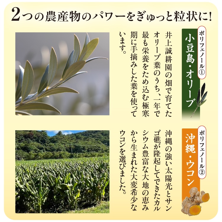 ウコンリーブ ｜ 井上誠耕園