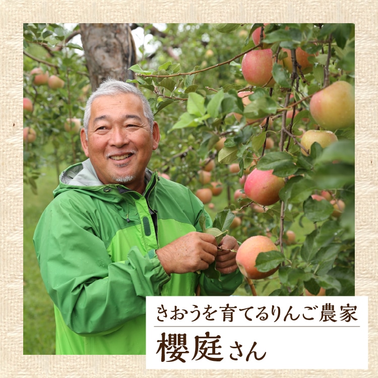 c*w様 ＪＡ　最上級　特A等級 りんご 32玉入り 選別品 楽天市場】りんご（総個数6 ～ 8個入り）（フルーツ・果物｜食品