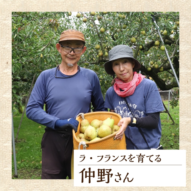 ラ・フランス 8～9玉 | 井上誠耕園