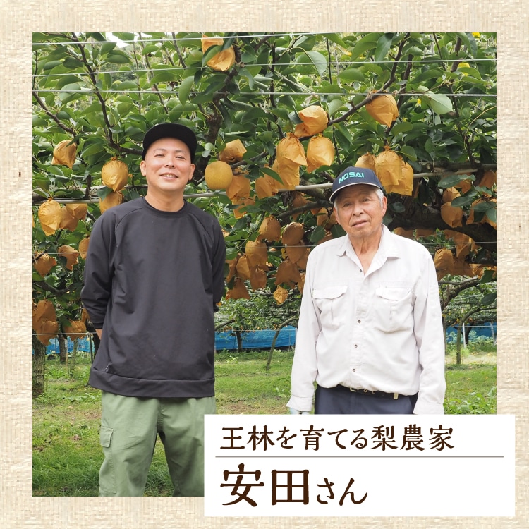 王秋(おうしゅう） 5～8玉 | 井上誠耕園
