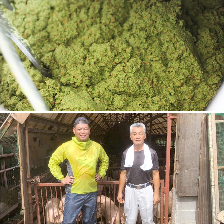 オリーブ緑果豚「豚まん 」 | 井上誠耕園 オリーブ緑果豚「豚まん 」 | 井上誠耕園