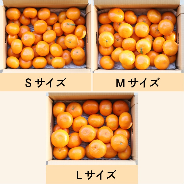 木成り完熟みかんS・3kg | 井上誠耕園