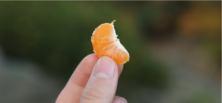 夕陽の瞳みかん | 井上誠耕園