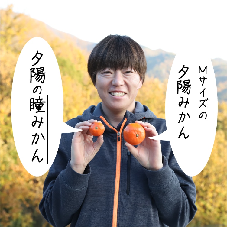 夕陽の瞳みかん | 井上誠耕園