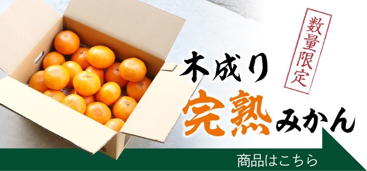 木成り完熟みかん