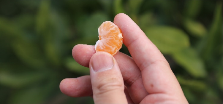 指先のみかん