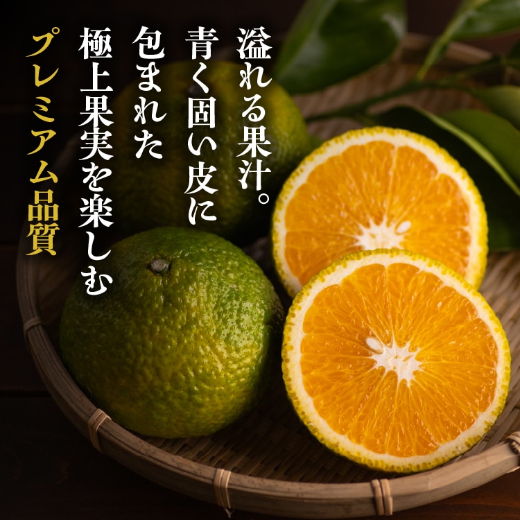 スィートスプリング プレミアム規格 ※送料込み | 井上誠耕園