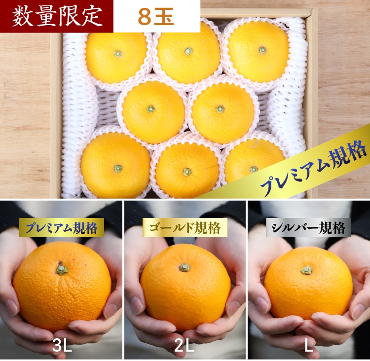 八朔（はっさく）｜ 井上誠耕園