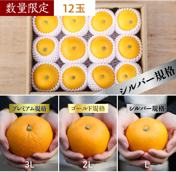 八朔様 リクエスト 6点 まとめ商品 八朔（はっさく）｜ 井上誠耕園