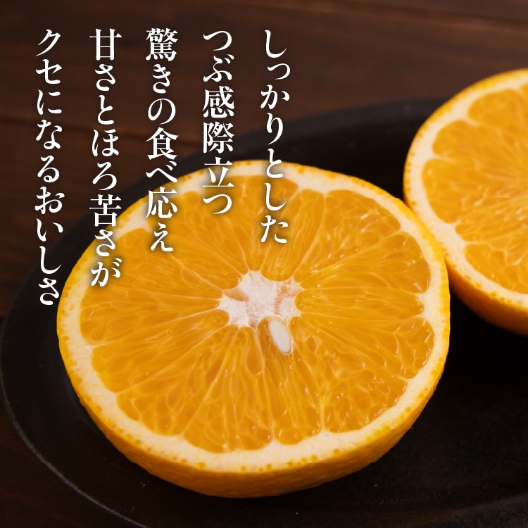八朔（はっさく） ｜ 井上誠耕園