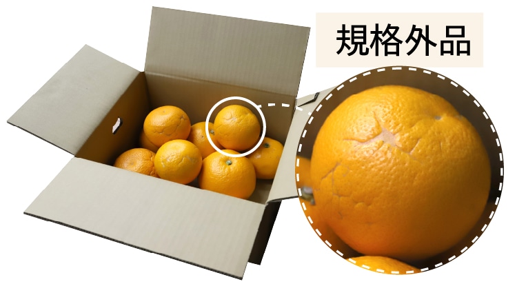 規格外