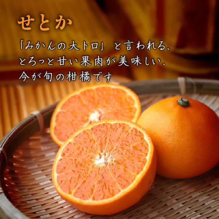 旬の柑橘詰め合わせ 5kg（スイートスプリング・せとか） ｜ 井上誠耕園