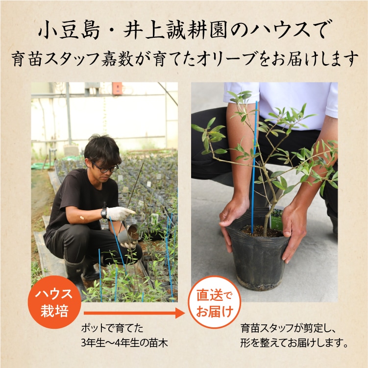 出荷まで