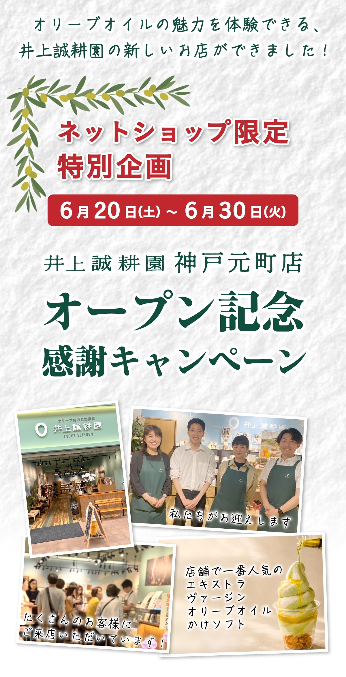 神戸元町店オープン記念キャンペーン｜オリーブオイルを小豆島の自然