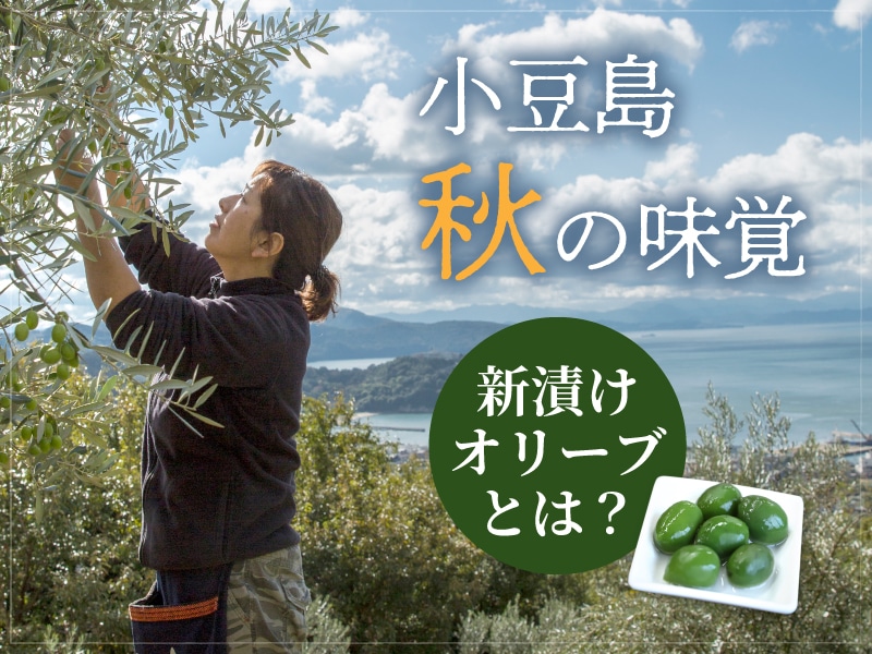 塩漬けやオイル漬けとは違ったオリーブの味わいが楽しめる「新漬け」とは?