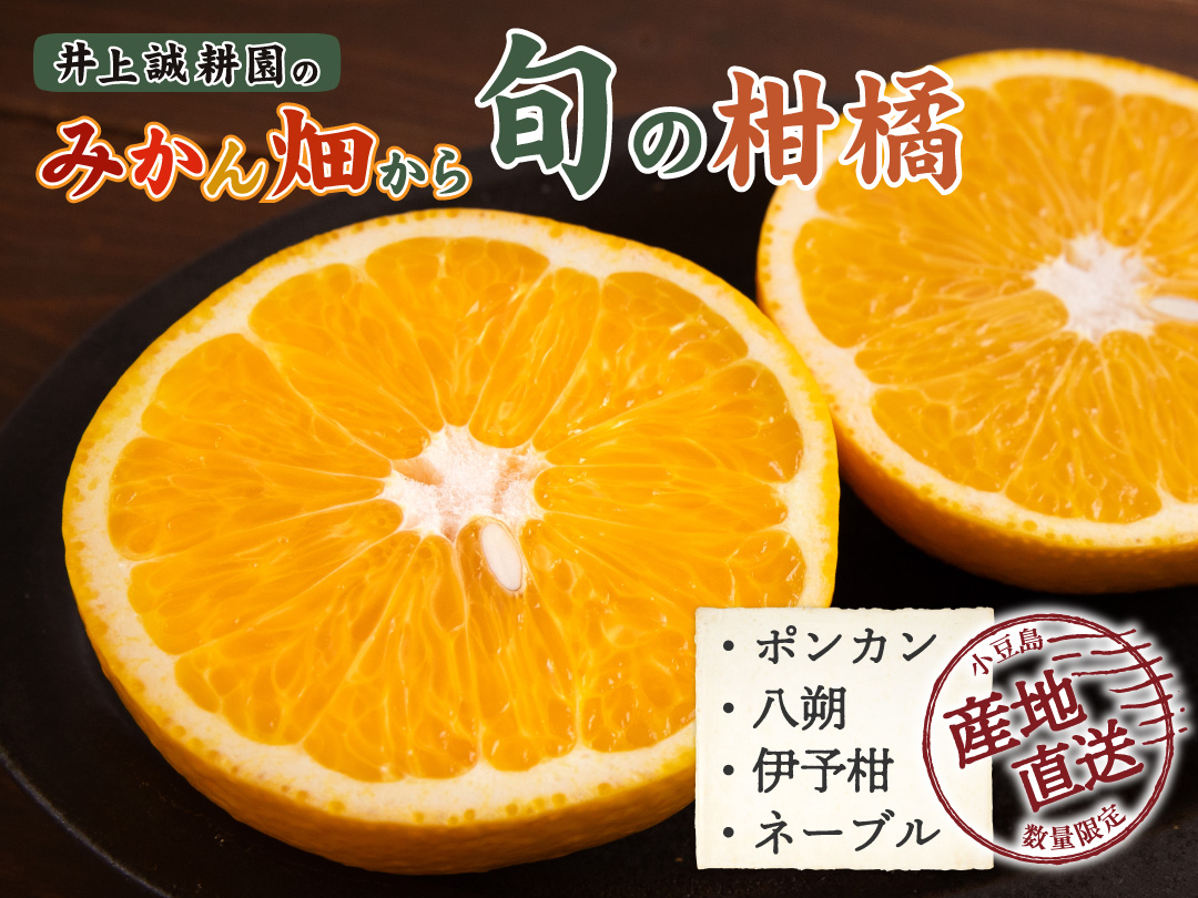 果汁たっぷり!食べごろの甘~い果実を小豆島からお届けします!