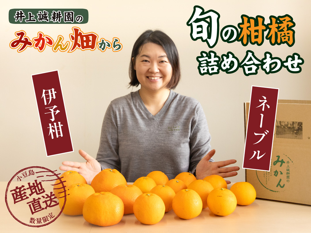 【250箱限定】旬の人気果実2種をどっさり詰め合わせた「超お得セット」