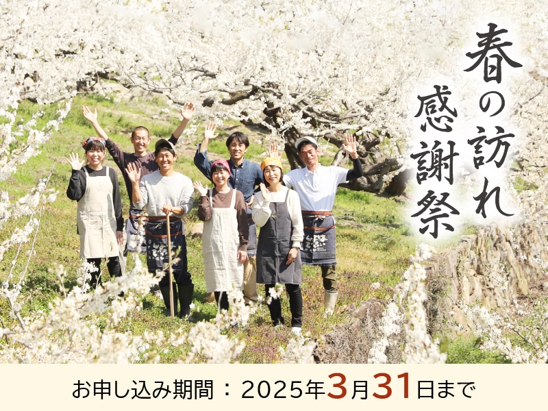 3月キャンペーン