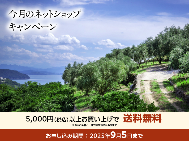 8月キャンペーン
