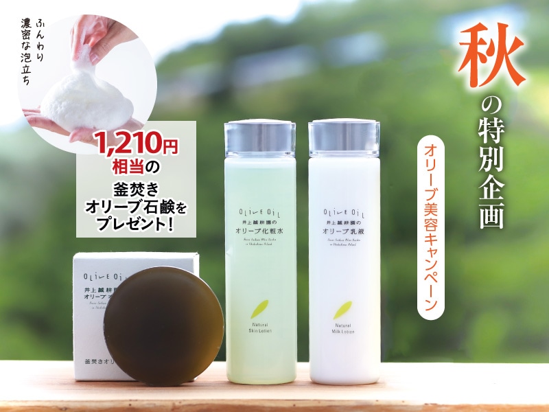 オリーブ美容キャンペーン