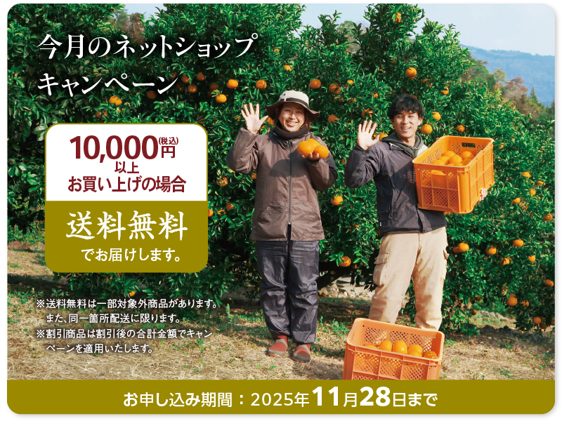 11月キャンペーン