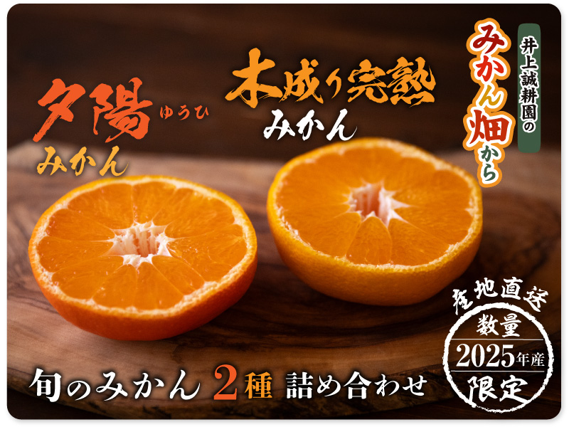 みかん詰め合わせ