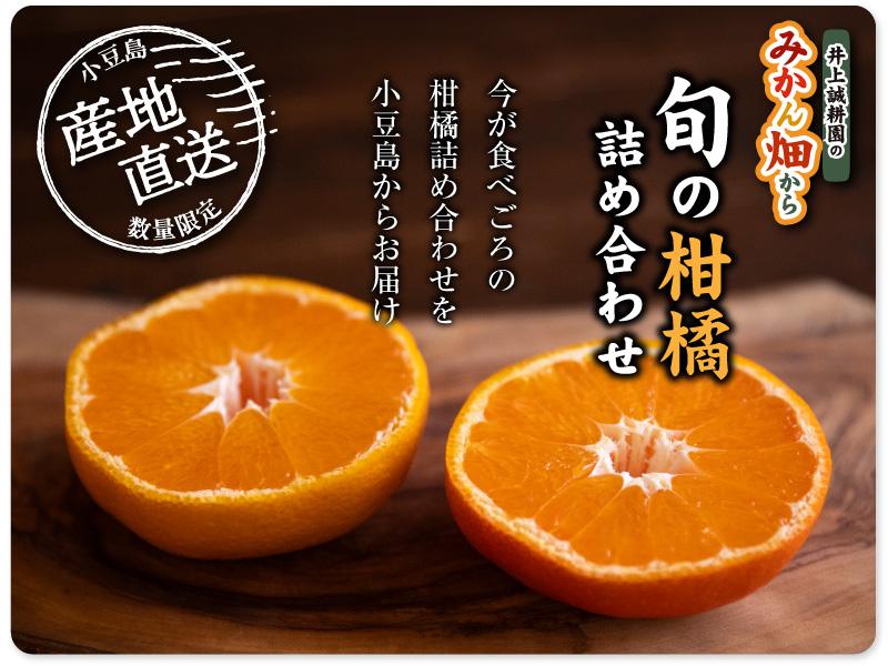 柑橘詰め合わせ