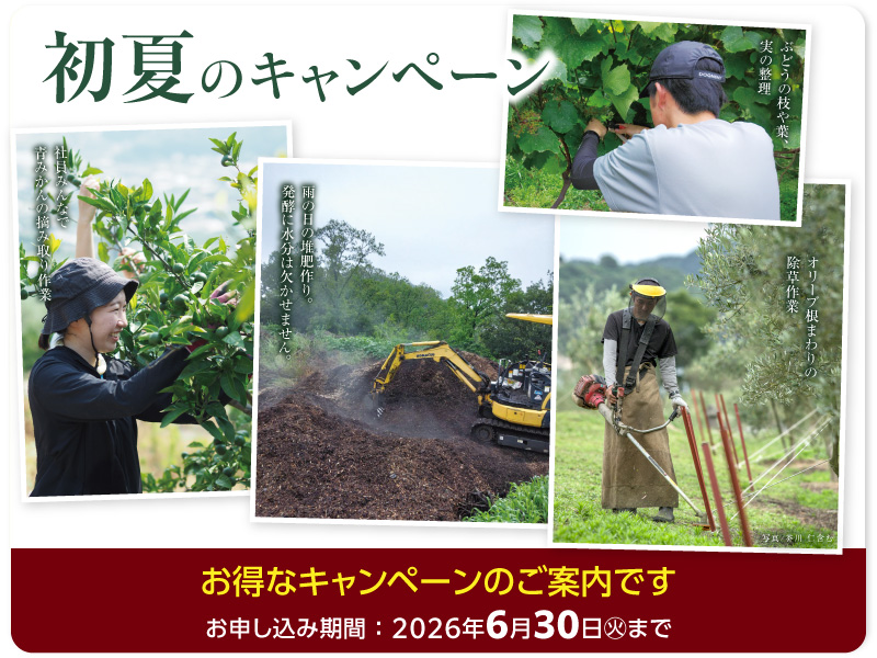 キャンペーン