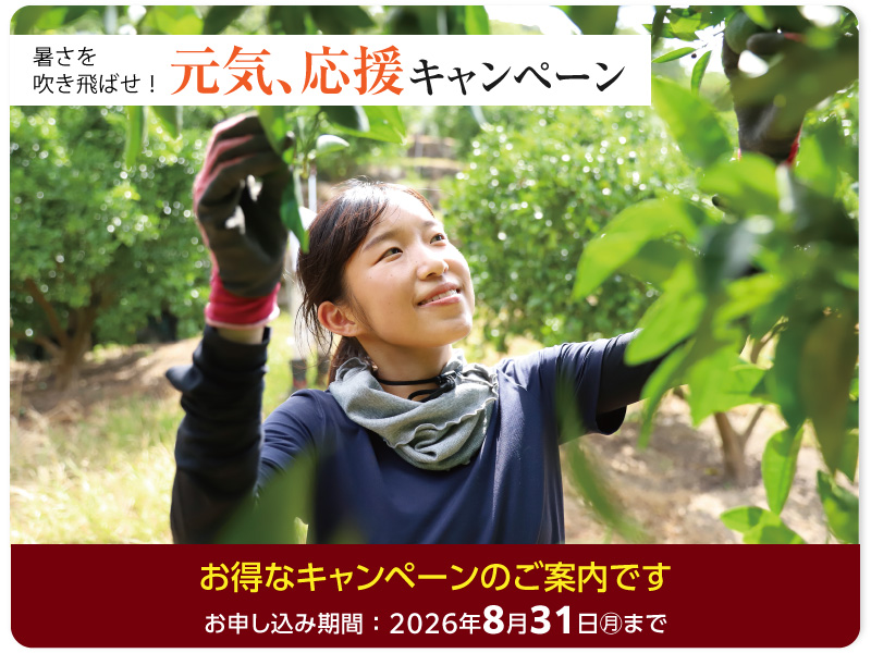 8月キャンペーン