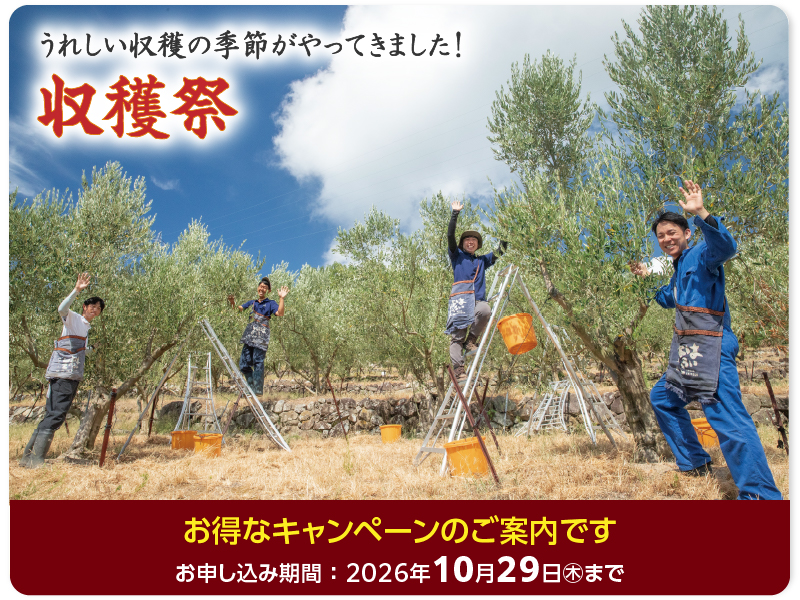 10月キャンペーン