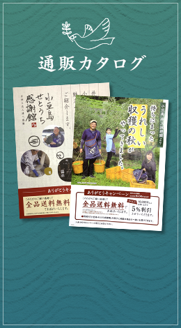 季節のお便り