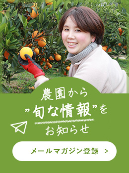 メールマガジン登録