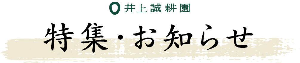 特集・お知らせ