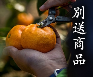 別送商品
